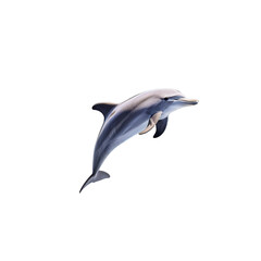 Playful Dolphin Leaping Above the Ocean Surface in a Bright Blue Sea Setting on transparent background