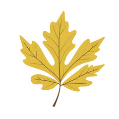 Flat vector illustration of an oak leaf, clean lines, modern design, isolated on white background,