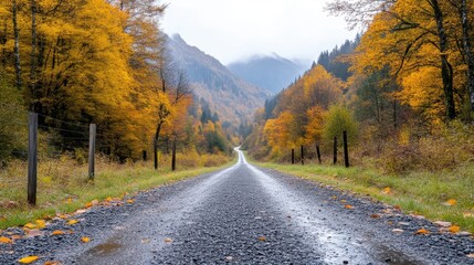 Obraz premium Autumnal Mountain Road