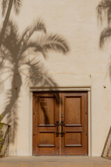 Shadow of a palm tree on a wooden door