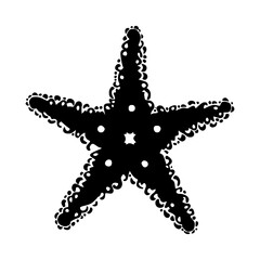 Black Starfish Silhouette Design