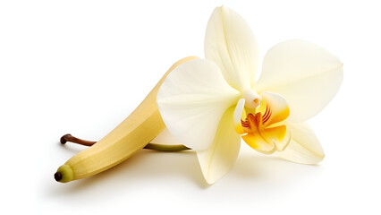 Vanilla pods and orchid flower isolated on white background Generate AI,