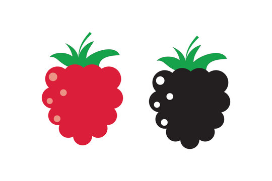 Raspberry vector icon illustration. Flat berry sweet healthy organic fruit raspberry blackberry.