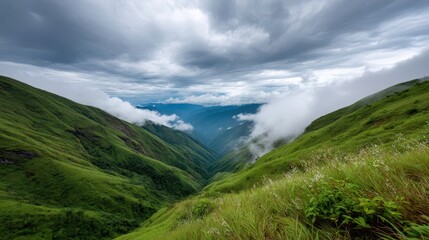Naklejka premium Lush Green Valley Landscape in Clouds, Mountain Scenery, Travel Destination