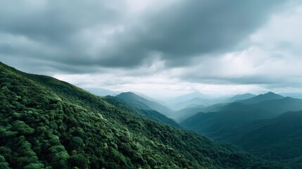 Fototapeta premium Mountain Landscape with Lush Green Forest and Dramatic Sky. Nature Scenery, Serene Vista.