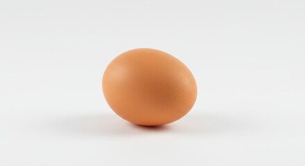 A single brown chicken egg is centered on a white background with a soft shadow underneath it