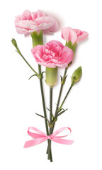 Fototapeta premium Bouquet of realistic pink carnation tied with a pink bow isolated on white. Decoration for Mother's day or spring holiday. Vector stock illustration.