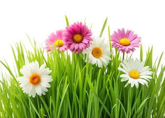 grass and flowers clipart image on transparent background
