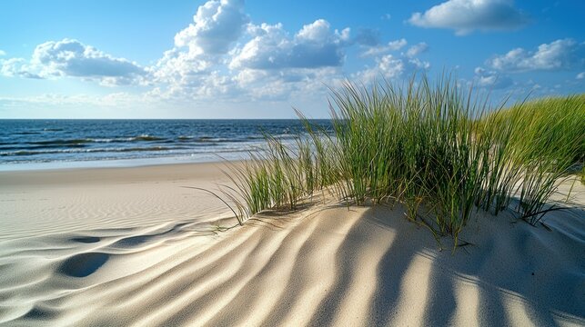 Beach grasses meet sea under blue sky and clouds