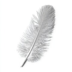 Elegant feather close up isolated on white background