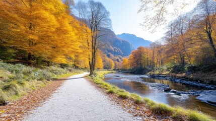 Obraz premium Autumnal path by a winding river through golden forest. Sunlight streams through the trees, casting a warm glow on the landscape