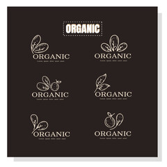 Black Organic Labels with Elegant Minimal Line Icons and Plant-Themed Design