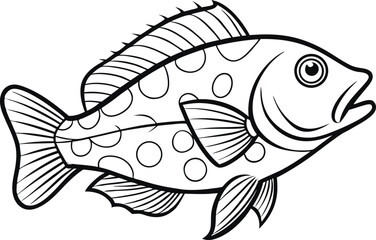 grouper fish outline vector illustration  on white background