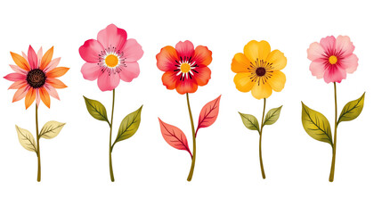 Colorful flowers in a charming arrangement.