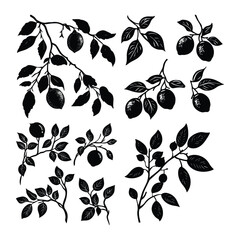 Set of decorative botanical leaf silhouettes in floral pattern