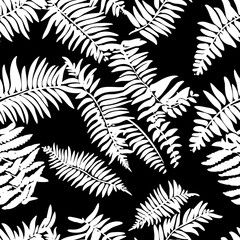 Fern Silhouette a stylish seamless pattern of fern leaves, showcasing a contrasting interplay of light and shadow in a striking black and white botanical display.