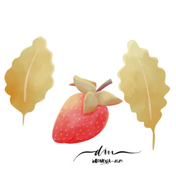 Strawberry and leaves