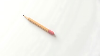 A single wooden pencil with a sharp tip and eraser on the end, diagonally placed on a plain white background

