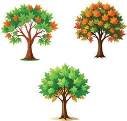 Maple Tree Vector Illustration &ndash; Colorful Seasonal Foliage in Flat Style