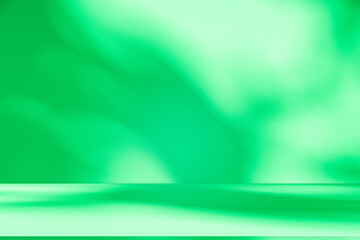 Wall interior background, studio and backdrops show products. with leaf shadow from window color green and white. background for text insertion and presentation of product	
