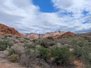 Desert landscape in Snow Canyon, Utah