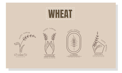 Wheat Logo Design Set for Organic Farm, Harvest, and Agriculture Use