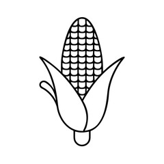corn icon, corn line art - simple line art of corn, perfect for corn logos and icons