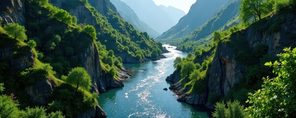 Twisted river flows through dark mountain pass, vines, river, trees