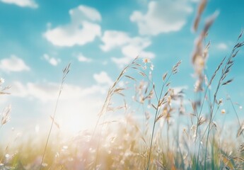 Obraz premium grass in the wind