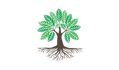 Obraz premium Tree vector illustrations roots mangrove tree vector isolated Oak tree silhouette white background