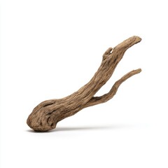 Driftwood branch natural isolated on white background