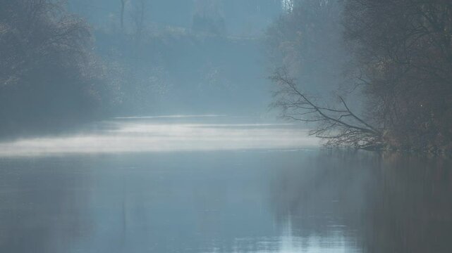 Mist rises from a calm river as soft light filters through bare trees lining its tranquil banks. Parallax video.