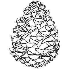 Illustrated decorative outlined pine cone seed line art illustration graphic element. Outline pine cone for drawing page.