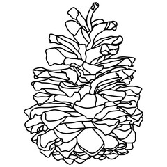 Illustrated decorative outlined pine cone seed line art illustration graphic element. Outline pine cone for drawing page.