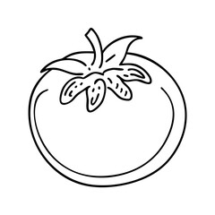 tomato icon, tomato line art - simple line art of tomato, perfect for tomato logos and icons