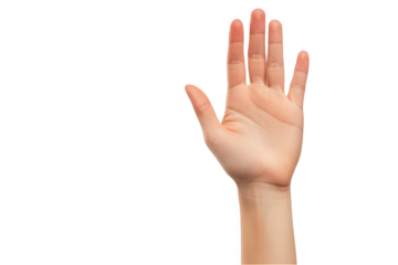 Open hand gesture against a white background, symbolizing communication and reception.