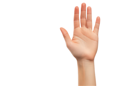 Open hand gesture against a white background, symbolizing communication and reception.