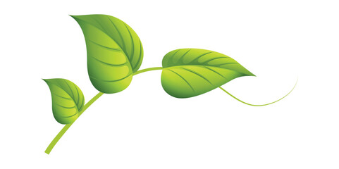 Green Leaf Vector Design