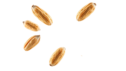 Isolated corn husk food ingredient for cooking and recipes on black background studio shot closeup view