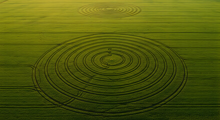 Naklejka premium Aerial View of Crop Circles in a Green Field