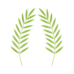 A Branch Of A Palm Tree Single Icon Vector illustration