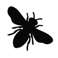 Silhouette of a flying insect with large wings in stark black color