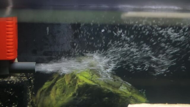 Aquarium water filter Cleaning aquarium water from living organisms wastes and other dirty using siphon pump, pieces of dirty swimming in water during cleaning, filtration system with rising bubbles