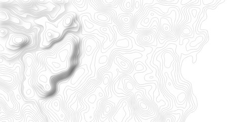 Abstract curve grid map and topo contour map on white background, Topographic contour lines. Seamless pattern with lines Topographic map. Geographic mountain relief diagram line wave carve design.