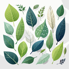 Obraz premium Collection Of Green And Teal Leaves On White Backgrounds