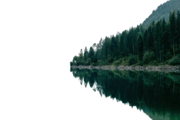 Tranquil forest reflection on serene lake at dusk, cut out