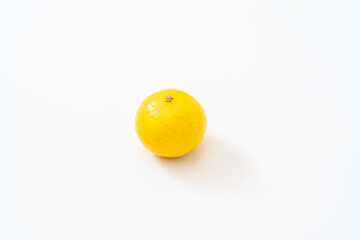 白背景に爽やかな湘南ゴールド