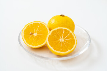 白背景に爽やかな湘南ゴールド