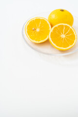 白背景に爽やかな湘南ゴールド