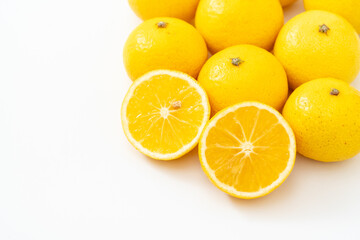 白背景に爽やかな湘南ゴールド